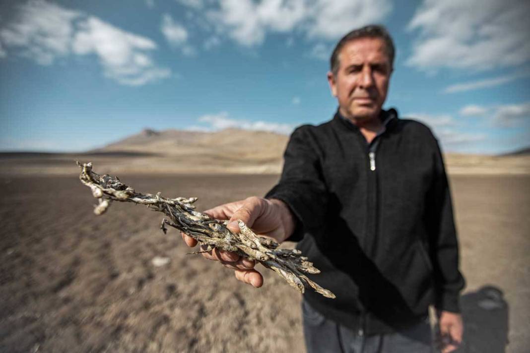 Bir baraj daha kurudu: Sular çekildi bir tane canlı balık kalmadı 3